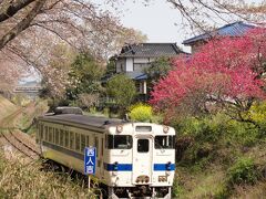 線路沿いの桜を求めてそろそろ戻ろう、最後に絶好のロケーションを見つけた