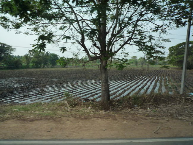 帰り道もひたすら続く田園風景。