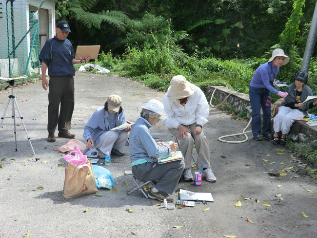 日曜日は・・・