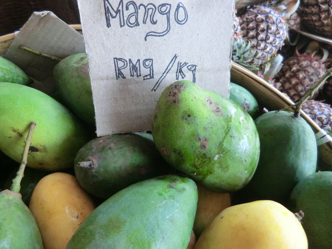 これは分かります・・・マンゴ