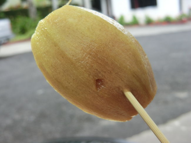 これが、芋みたいな原型、黒砂糖のような甘さ、