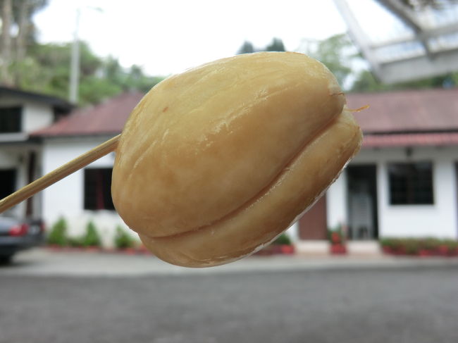 これがカブト？鎧？　サワーでした・・・