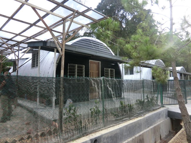 食後の散歩・・・　　見覚えが・・・