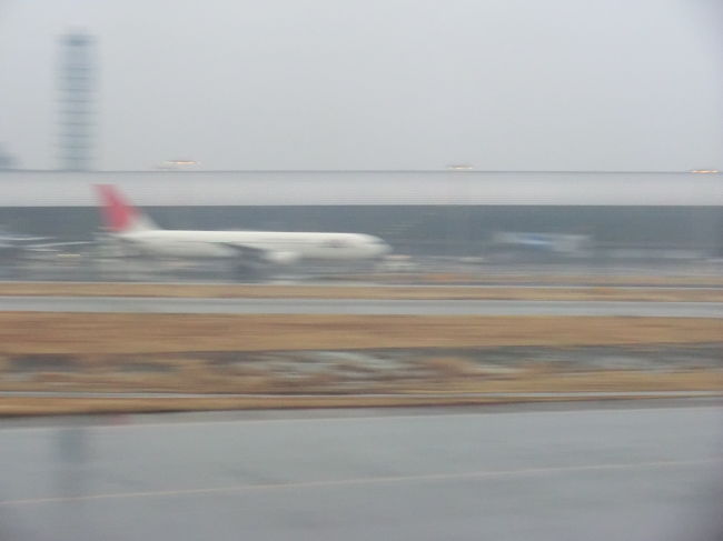 無事2ヵ月半の海外ブラブラ終了です・・・<br /><br />夏まで薪割り頑張ります・・・。