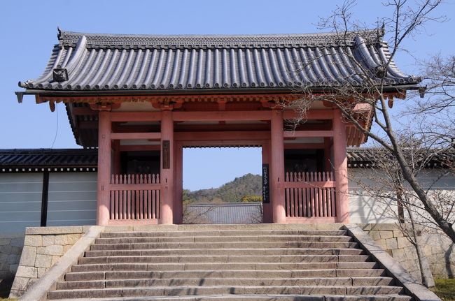 二王門を潜り、まずは、まっすぐ進んで国宝の金堂を目指す。<br />途中左手には、大正２年(1913)に竣工した勅使門が建っていた。<br />その見応えのある門の先に、中門が見えてきた。<br />他の門に比べると、かなり小さく簡素な造りだった。