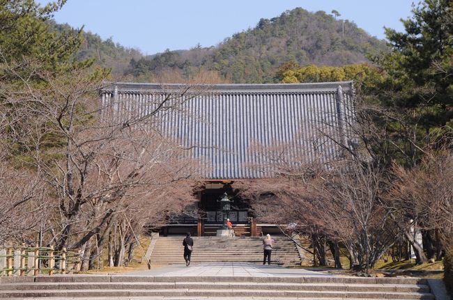 正面に、優美な屋根を持つ国宝の金堂が現れた。<br />この建物は、慶長18年(1613)に建立された京都御所の正殿・紫宸殿を移築したものらしい。<br />その際、檜皮葺きから瓦葺きに変えるなどしたそうだが、宮殿建築の姿を今に残す大変貴重なものだそうだ。