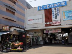 妙心寺を後にし、妙心寺駅から三度嵐電北野線に乗り、終点の北野白梅町駅に降り立った。
ここまで来たのは、北野天満宮へ立ち寄るため。
と言っても、お願いがあってのことではないのだが。