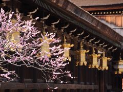 駅から北野天満宮までは歩いて10分ほど。
３月と言うこともあり、学生が大勢参詣に来ていた。
境内では、まだ梅の花が見ごろだった。