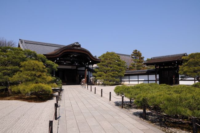 中門を通って二王門の手前まで戻り、今度は本坊表門を潜って御殿へと足を向けた。<br />門から御殿の入口までは、白砂に松が配され、空の青さと相まって、まさに白砂青松の景色だ。<br />