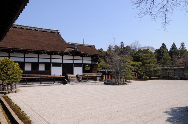 御殿の中に入ると、まず白書院があった。<br />白書院は、宸殿南庭の西側に建ち、福永晴帆画伯により描かれた松の襖絵が素晴らしかった。<br />白砂が敷き詰められた南庭越しに見えた宸殿は、儀式や式典に使用される重要な建物で、現在のものは大正３年(1914)に再建されたものだそうだ。