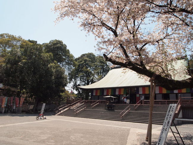 喜多院は徳川家ともゆかりの深いお寺でもあります。<br /><br />桜がキレイなスポットで有名でもあるので<br />花見客もいらっしゃいました。