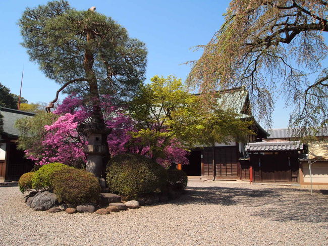 江戸城から移築された「家光誕生の間」や「春日の局　化粧の間」も見学できます。<br />でも有料なのでスルー。
