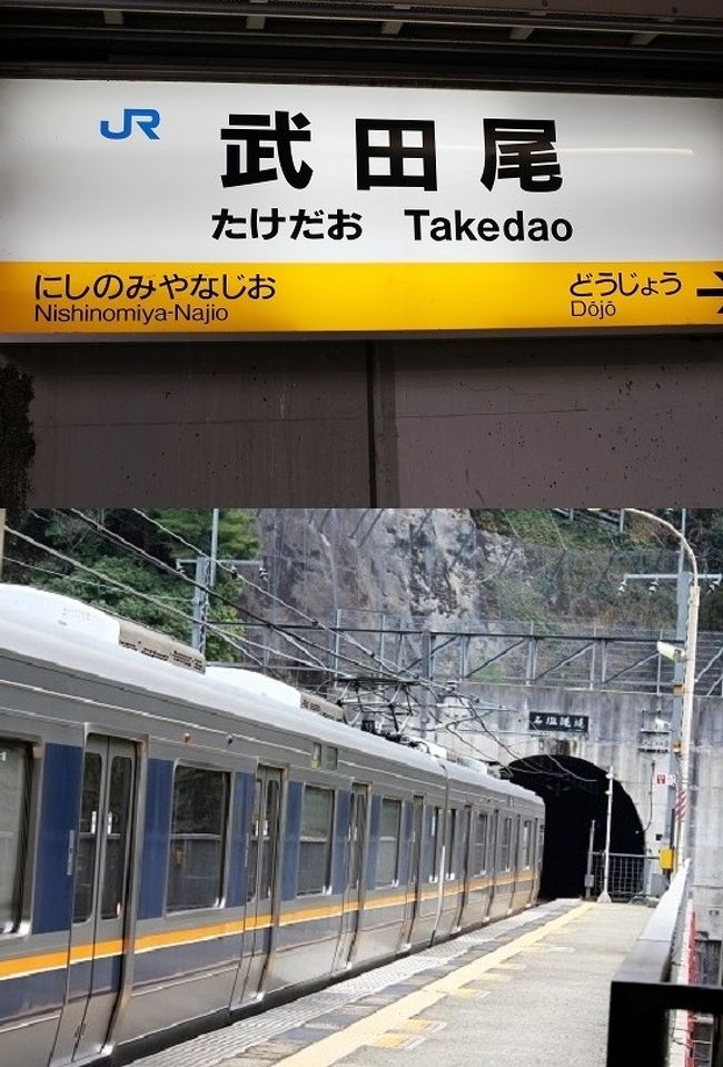 桜の季節を歩く・・・ 廃線跡ウオーキング・旧国鉄（現在JR