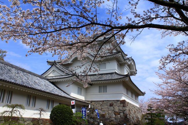 「大多喜城」<br />戦国時代から江戸時代にかけて存在したお城で、初めは「大田喜城」と呼ばれていました。1521年に真里谷信清が「小田喜城」として築いたのがはじまりとされ、今日の大多喜城は徳川家康によって大多喜の地を支配した本多忠勝が築城したものと考えられてきました。<br />1590年里見氏が上総国を没収されると徳川家康に与えられ、その配下の武将である本多忠勝が城主となり、大多喜藩10万石が成立しました。<br />忠勝は里見氏の北上を防止するために突貫工事を行い、3層4階の天守を持つ近世城郭へと大改築を行い、ふもとに城下町の建設を行った。これが今日の大多喜城とされています。<br />