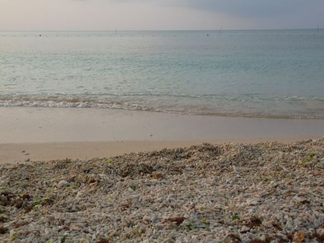 ホテルに着いたのが６時だったのでサンセットには十分間にあった。<br />プライベートビーチに出たらエメラルドグリーンの海とサンゴがいっぱい落ちている白い砂浜。<br />まさにリゾートでしたね。<br />中学生が修学旅行で泊まってました。どんだけ贅沢やねん！私の中学の修学旅行なんてもっと安いお宿やったわ。<br />ちなみに私大阪生まれの大阪育ち。中学の修学旅行は信州一周でした。<br /><br />すれ違った中学生が私を見て<br />「若い女の人かと思ってたら違うじゃん」と言ったのを見逃しませんことよ！なんちゅう失礼な奴。<br />確かにＧパンとピンクのＴシャツだったけど。若作りしすぎたか？？？ちょっとヾ(_ _。)ハンセイ…