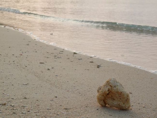 気を取り直してしばし写真に没頭。<br />沖縄の海は七色に変化するって言うけどほんとだね。<br />夕日が沈む直前の海は言葉では言い表せない美しさだ。