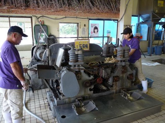 ホテルを８時半に出発して、沖縄黒糖工場に行きました。サトウキビを搾ってる所。おもしろいね〜。私実は黒糖ってあまり好きではなかったんだけど、出来立ての黒糖を食べて<br />「おいしいじゃん」と思ってしまった。<br />塩黒糖ってのが一番のお気に入りでめっちゃ買ってしまった。<br />ちんすこうも試食。最近のちんすこうは味が数倍おいしくなったような気がする。いろんな味があって、お土産に沢山買いました。<br />まさしくツアー会社の思うツボにはまってました（笑）