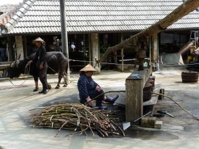 昔ながらのサトウキビをしぼる様子を再現していました。<br />のんびりした時間が流れている。<br />うしさんが可愛い顔してましたよ。一緒に写真も撮ってくれました。