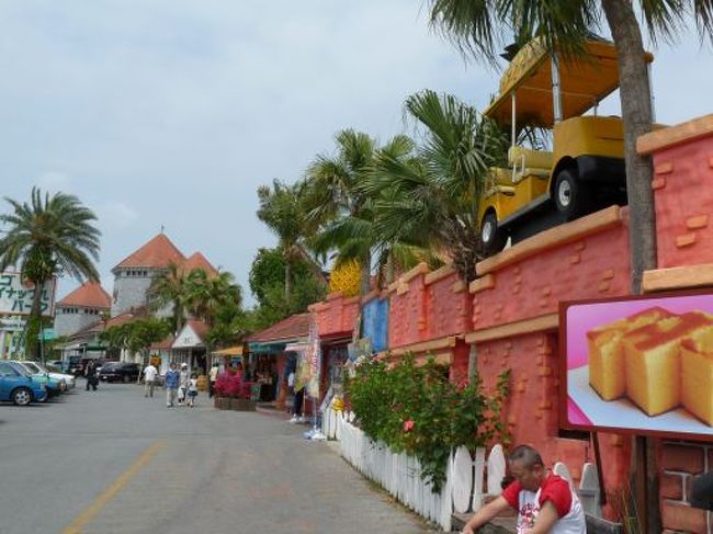食事もすんで、森のガラス館に立ち寄り、その後ナゴパイナップルパークに行きました。