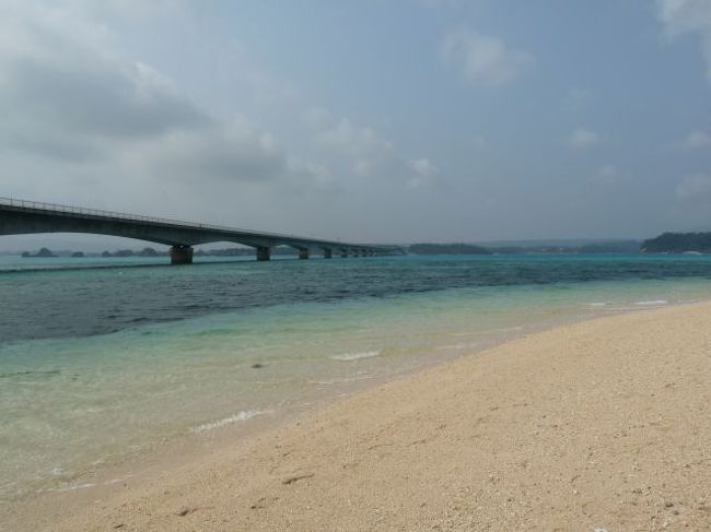 最終日に古宇利島へ行きました。橋があるだけだったけど、青い海が印象的。沖縄だ！って思いました。