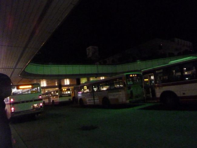 「夜行バスで宮城から東京へ」行く場合、現在の居住地・黒川郡大和町からは「ドリームササニシキ」というＪＲ夜行バスが本来は走っているのですが、震災の影響でこちらも運休（車庫が被災したそうです)。やむをえず、地下鉄泉中央駅までガソリンが残り少ない軽自動車でむかいます。<br /><br />※当時は、ガソリンの供給が大幅に不足していて、スタンドは長蛇の列となっていました。写真は泉中央駅のバスターミナル。照明は必要最低限の明るさです。仙台市営地下鉄も泉中央〜台原間は運休中で、代行バスが運行されていました。代行バスと地下鉄に乗り継ぎ仙台駅へむかいました。<br /><br /><br /><br />