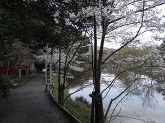 常寂光時へ行く途中に、御髪神社なる神社発見。
名前にひかれてお参りへ。