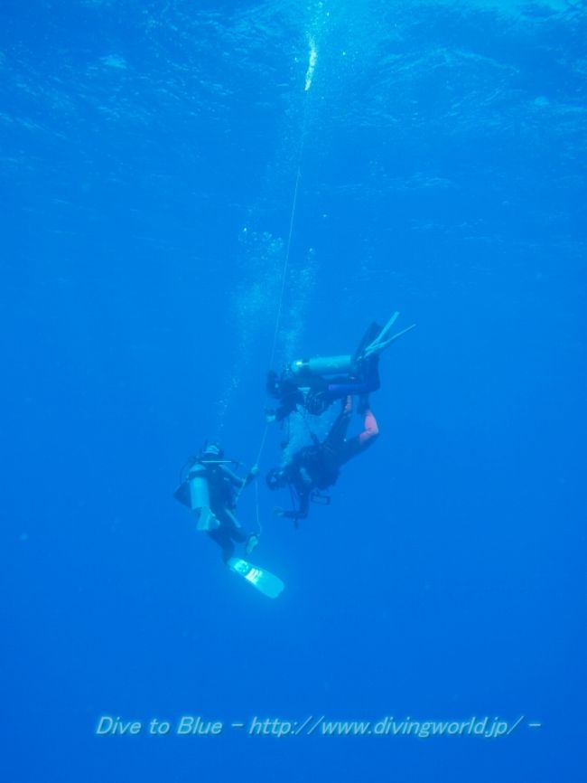 ZXDIVING オアフ島のダイビングは楽しい♪』ホノルル(ハワイ)の ZXDIVING オアフ島のダイビングは楽しい♪』ホノルル(ハワイ)の