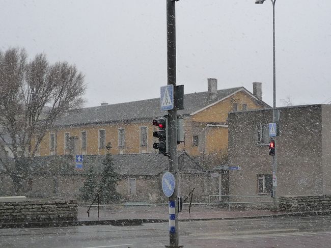 外は大吹雪！<br /><br />４月１８日ですよ？シンジラレナーイ！