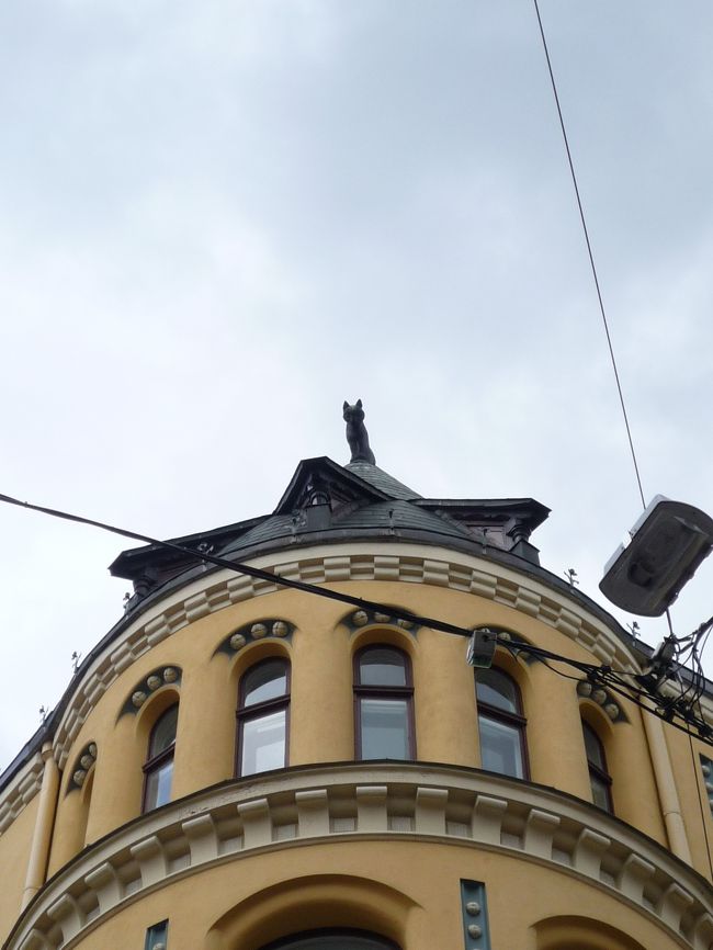 ネコとにらめっこしてみた。