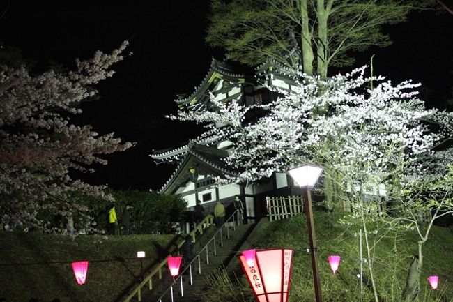 日本三大夜桜 高田公園の観桜会 上越 直江津 新潟県 の旅行記 ブログ By あららーさん フォートラベル 日本三大夜桜 高田公園の観桜会 上越 直江津 新潟県 の旅行記 ブログ By あららーさん フォートラベル