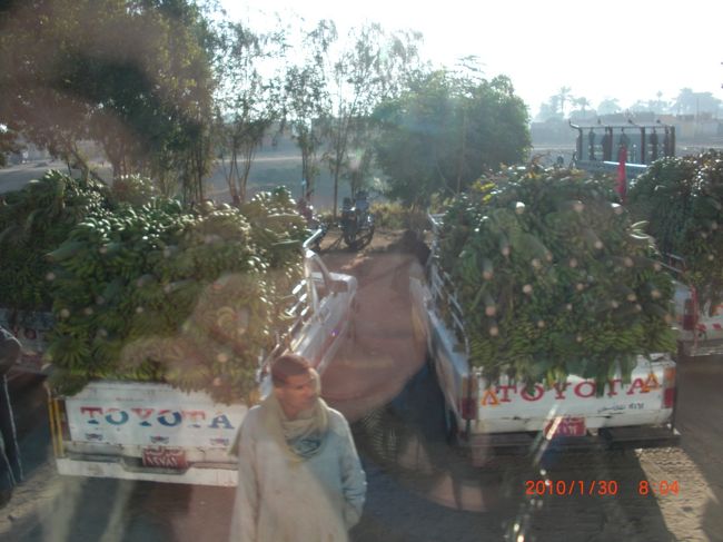 積みすぎじゃない?ってくらい<br />すごいバナナを運んでいました〜♪