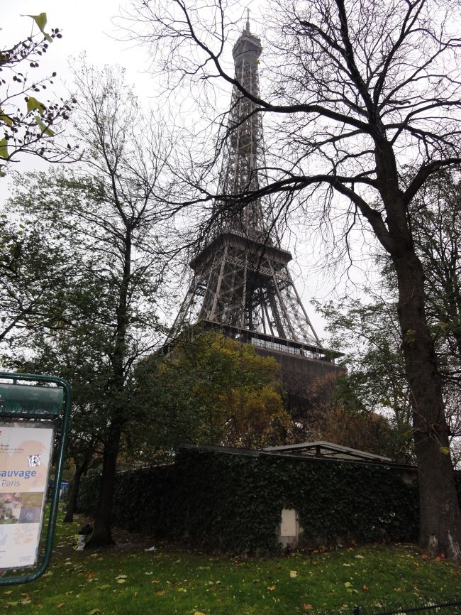 エッフェルタワーに着いたころには天気はどしゃ降り。ひえ〜〜<br />おまけにとても冷え込んでいて、気温は０℃近く。<br />寒くて参りました。。。