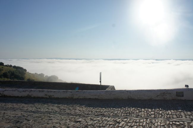 翌朝。なんと雲海！ほんとにここは高い土地なんだ。