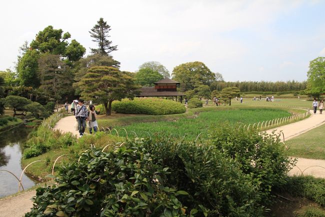 岡山後楽園<br /><br />◎ 流店<br /><br />手前の畑は、花菖蒲が植えられています。<br />