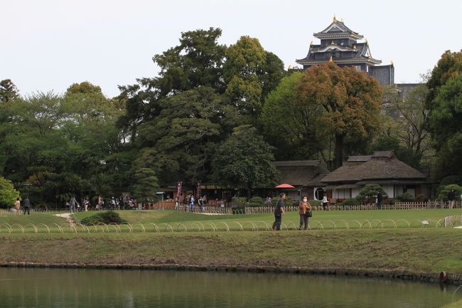 岡山後楽園<br /><br />◎ 廉池軒と天守<br /><br />