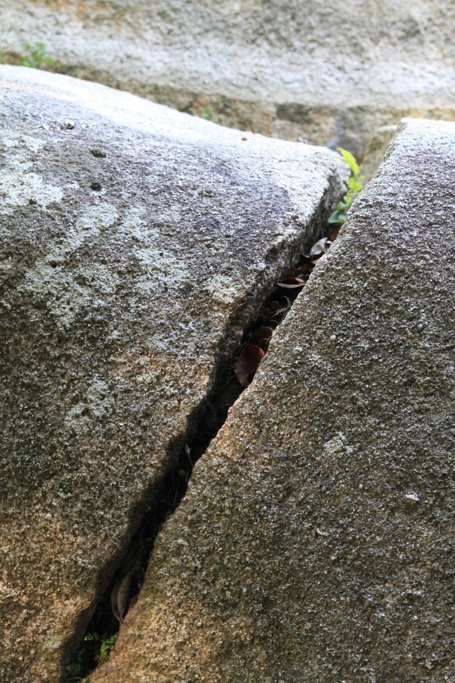 岡山後楽園<br /><br />◎ 花葉の池にある大立石<br />