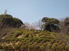 13:00過ぎに希声館前バス停で下車し、そのまま甘木公園へ向かいます。
甘木公園も桜の名所として有名です。