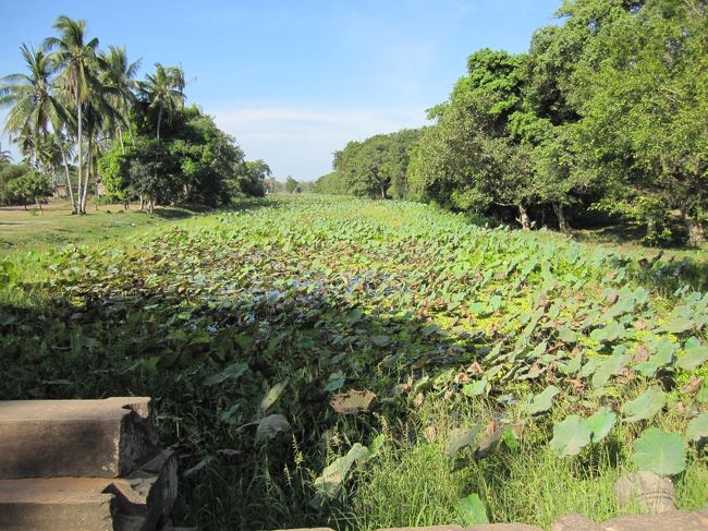 橋をはさんで反対側の環濠はなぜか手つかず。