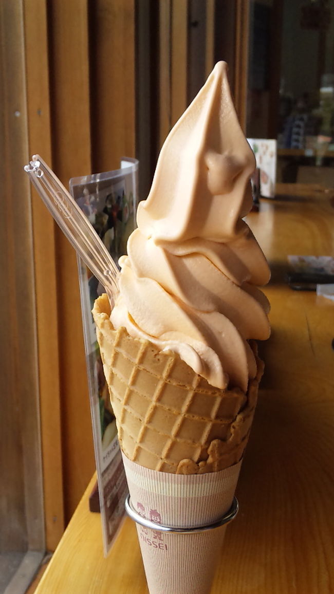 加子母のこのトマトソフトクリーム、めっちゃ美味しかった！<br /><br />ツイッターでつぶやいたら、道の駅のスタッフにフォローされてしまいました　笑<br /><br />無添加・無着色だそうです。