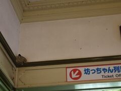 道後温泉駅の駅舎につばめ（？）が巣をつくってました。