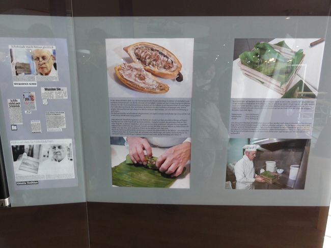 カカオの実は大きいんですね〜<br />中に一杯詰まっています。