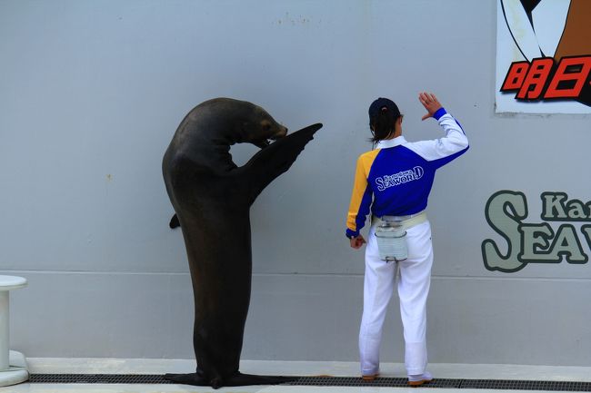 トレーナーとの息もぴったり！