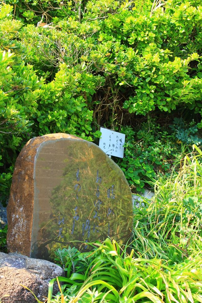 「暖かしわだつみに降るもの声」<br /><br />秋光