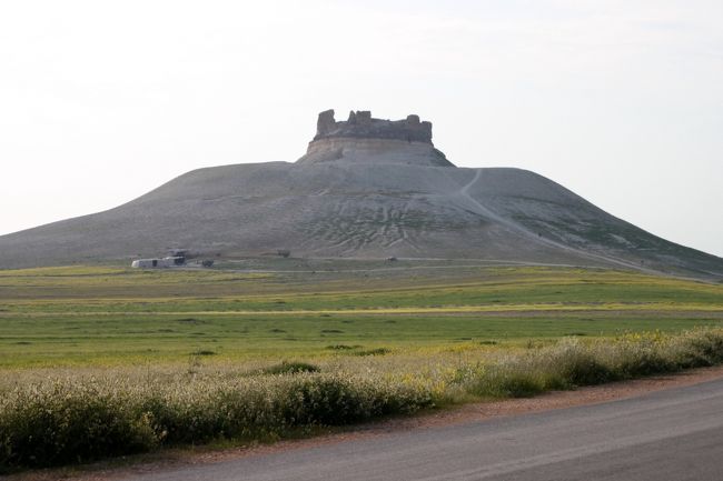 だんだんと目的の場所に近づいているようです。