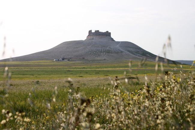 野道はうねうねと曲がりくねり、<br />ときどき望まない方向に誘ったりもしますが･･･