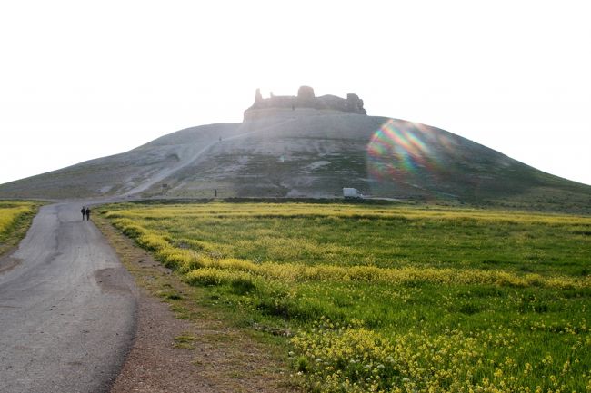 ここが城への登り口、一本道です。<br /><br />陽は城の向こう側から光を射しこみ、登り口側は蔭になっていました。<br /><br />最後の訪問者と思われる人影が、こちらに向かってゆっくり歩いてきます。
