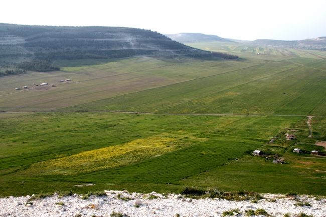緑の平原がどこまでも続き、ベドウィン家族の住居と思われるテントが点在しています。