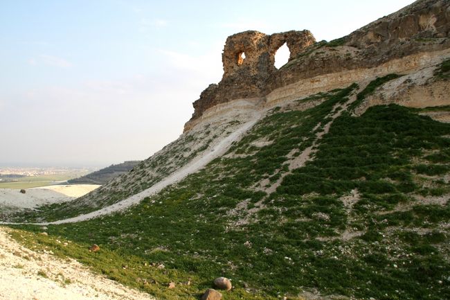 頂上への登り口がありました。