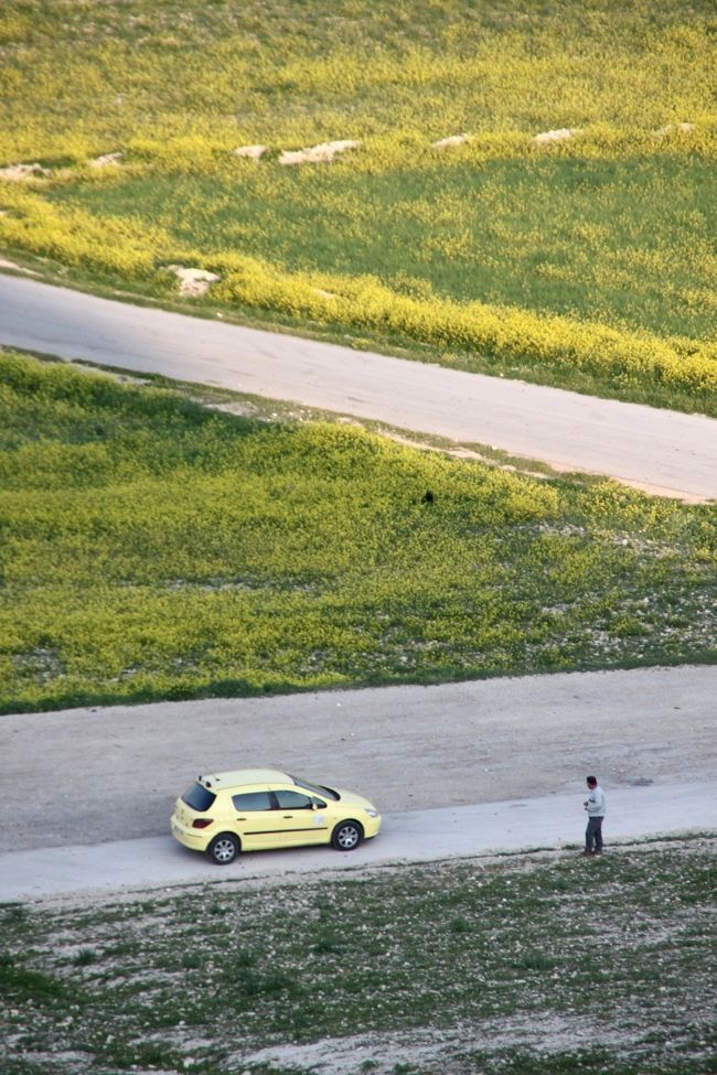 すぐ下には、待ってもらっている車が見えました。<br /><br />「何しに行くの？」「どうしてそこがいいの？」と運転手さんに何度も聞かれました。きっと、地元でもマイナーな場所なんでしょう。<br /><br /><br />城の中腹でかれこれ40分、シャママニスを"独り占め"できました。"ツアーのついで”ではとても味わえなかった、贅沢な時間です。