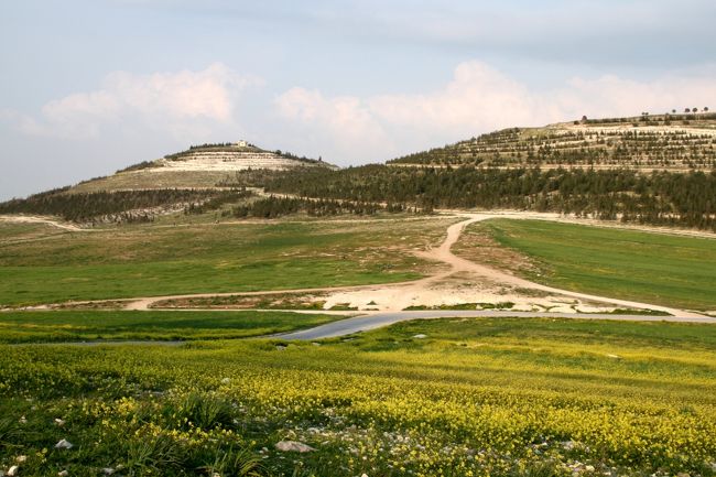 すぐ隣には、低い丘があって･･･